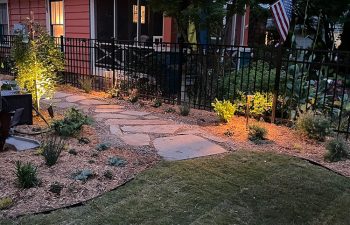 Walt's landscaping and lighting project