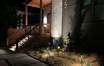 Walt's landscaping and lighting project