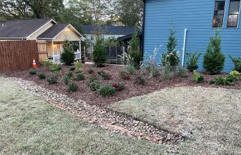 Walt's landscaping and lighting project