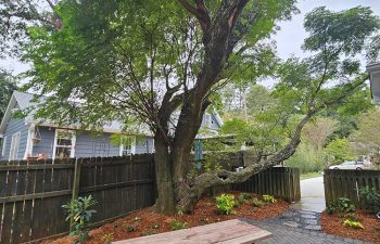 Walt's landscaping and lighting project