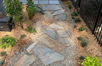 Walt's landscaping and lighting project