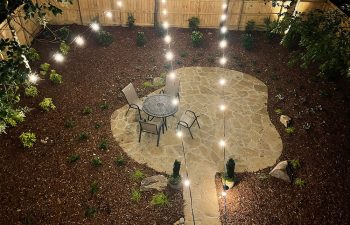 Walt's landscaping and lighting project