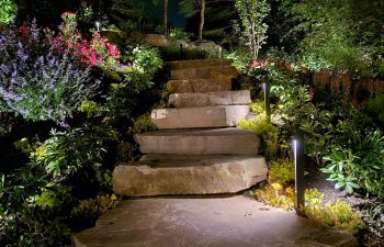garden lighting