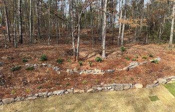 Walt's Landscaping and Lighting project