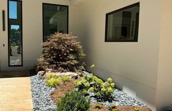 Walt's Landscaping and Lighting project