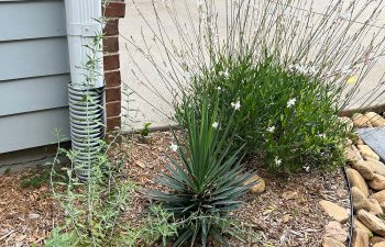 Walt's Landscaping and Lighting project