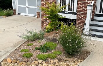 Walt's Landscaping and Lighting project