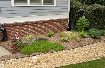 Walt's Landscaping and Lighting project