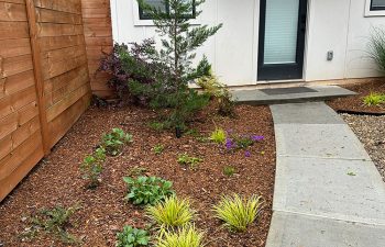 Walt's Landscaping and Lighting project