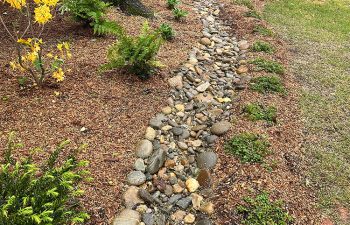 Walt's Landscaping and Lighting project