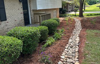 Walt's Landscaping and Lighting project