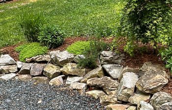 Walt's Landscaping and Lighting project