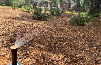 Walt's Landscaping and Lighting project