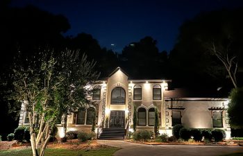 Walt's Landscaping and Lighting project