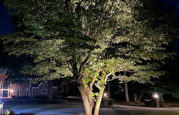 Walt's Landscaping and Lighting project