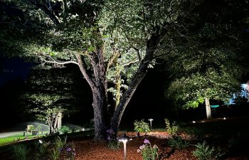 Walt's Landscaping and Lighting project