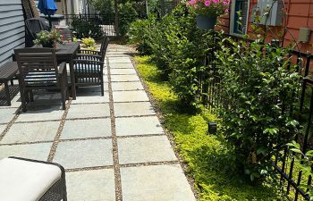 Walt's Landscaping and Lighting project