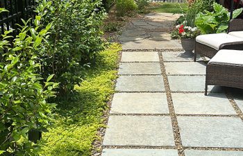 Walt's Landscaping and Lighting project