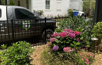 Walt's Landscaping and Lighting project