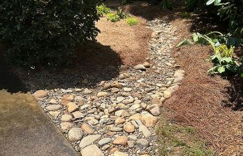 Walt's Landscaping and Lighting project