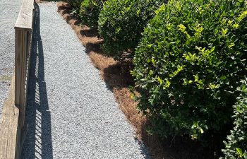 Walt's Landscaping and Lighting project