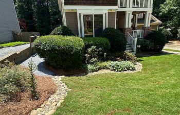 Walt's Landscaping and Lighting project